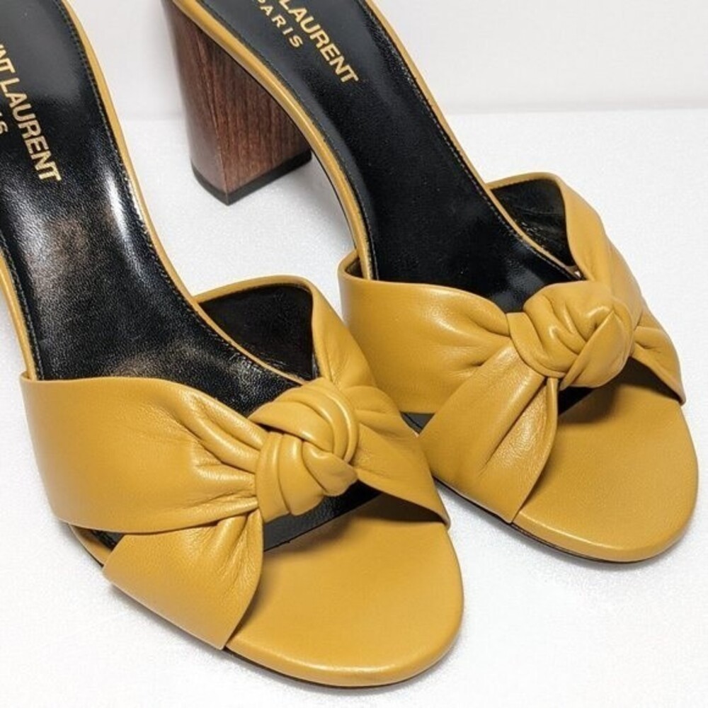 YSL Saint Laurent Bianca Leather Block Heel Mules Sandals - Picture 5 of 12